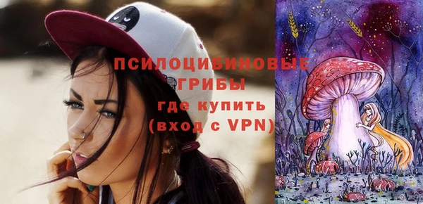 МДПВ Абаза