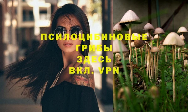 спайс Алексин