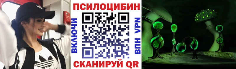 Псилоцибиновые грибы Cubensis  Устюжна 