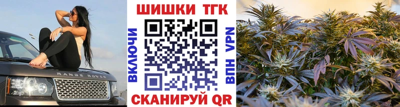 купить наркотик  Устюжна  MEGA рабочий сайт  Бошки Шишки индика 